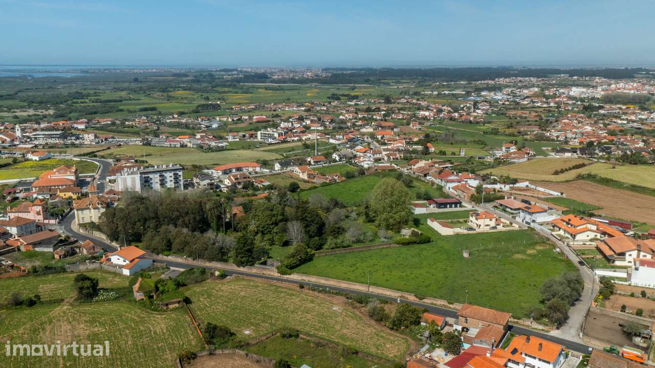 Terreno para construção em Salreu - Estarreja - Grande imagem: 5/8