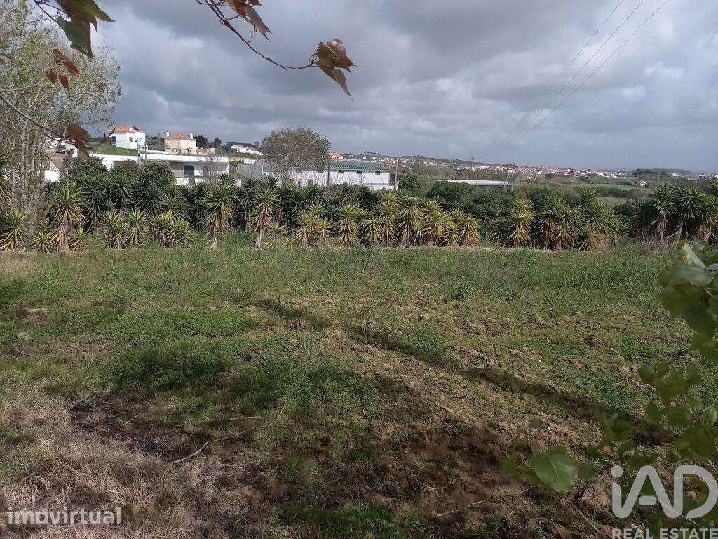Terreno em Lourinhã e Atalaia de 1122,00 m2 - Grande imagem: 4/8