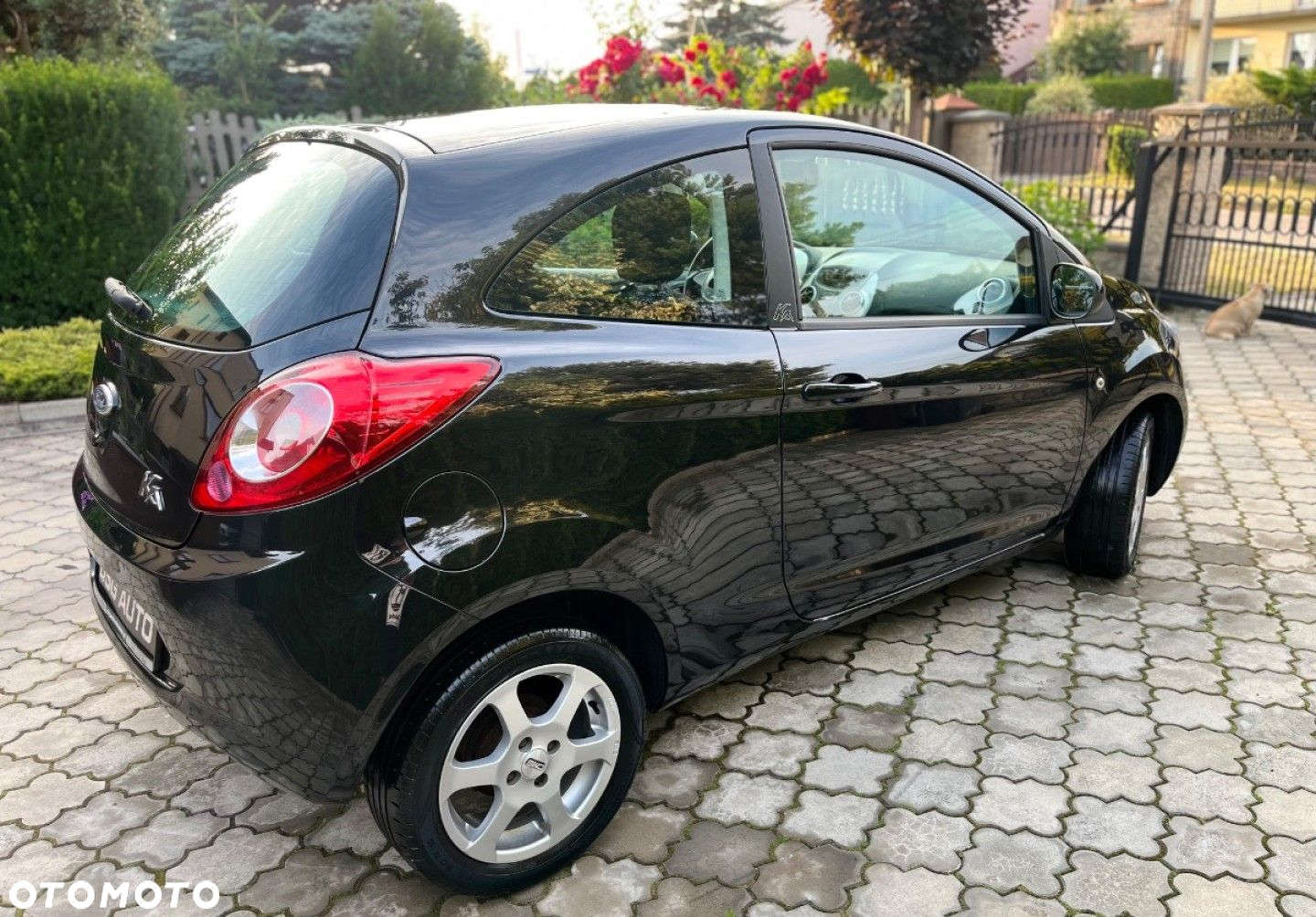 Ford KA - 5