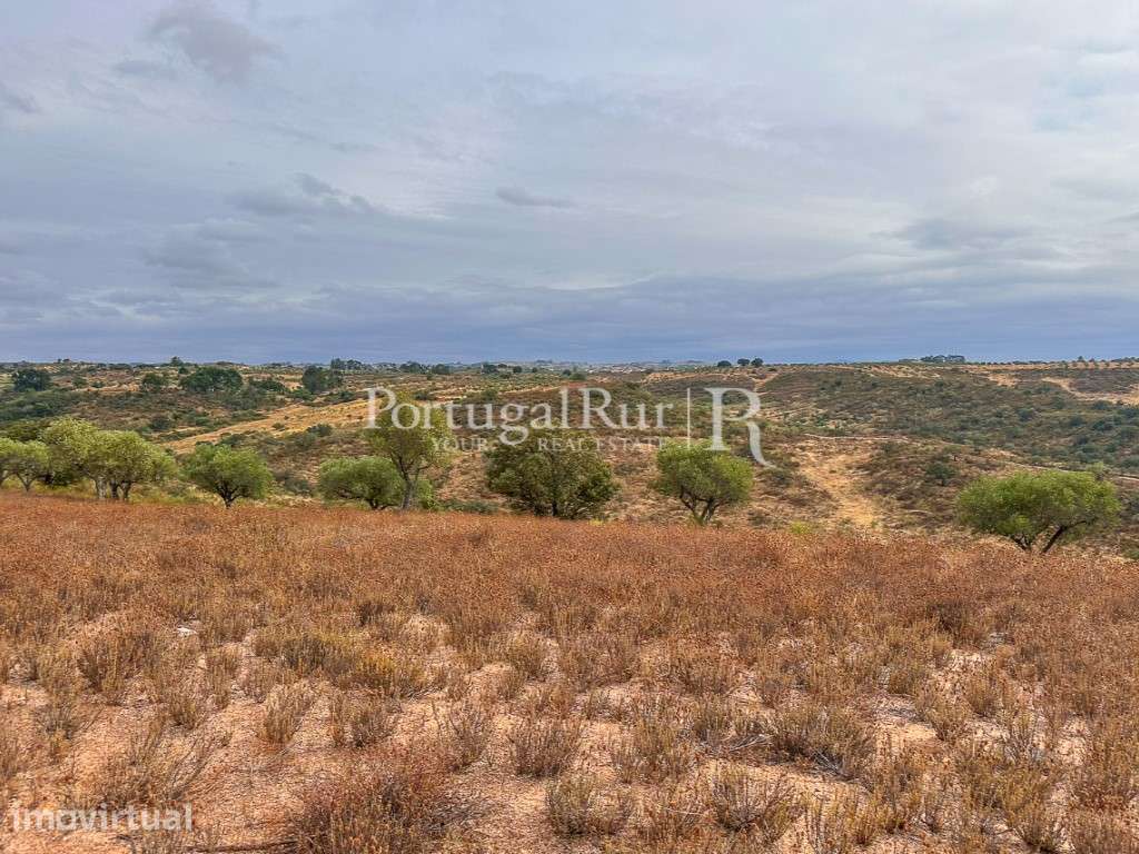 Propriedade Rural composta por 3 parcelas (2 herdades + casa) - Grande imagem: 5/24