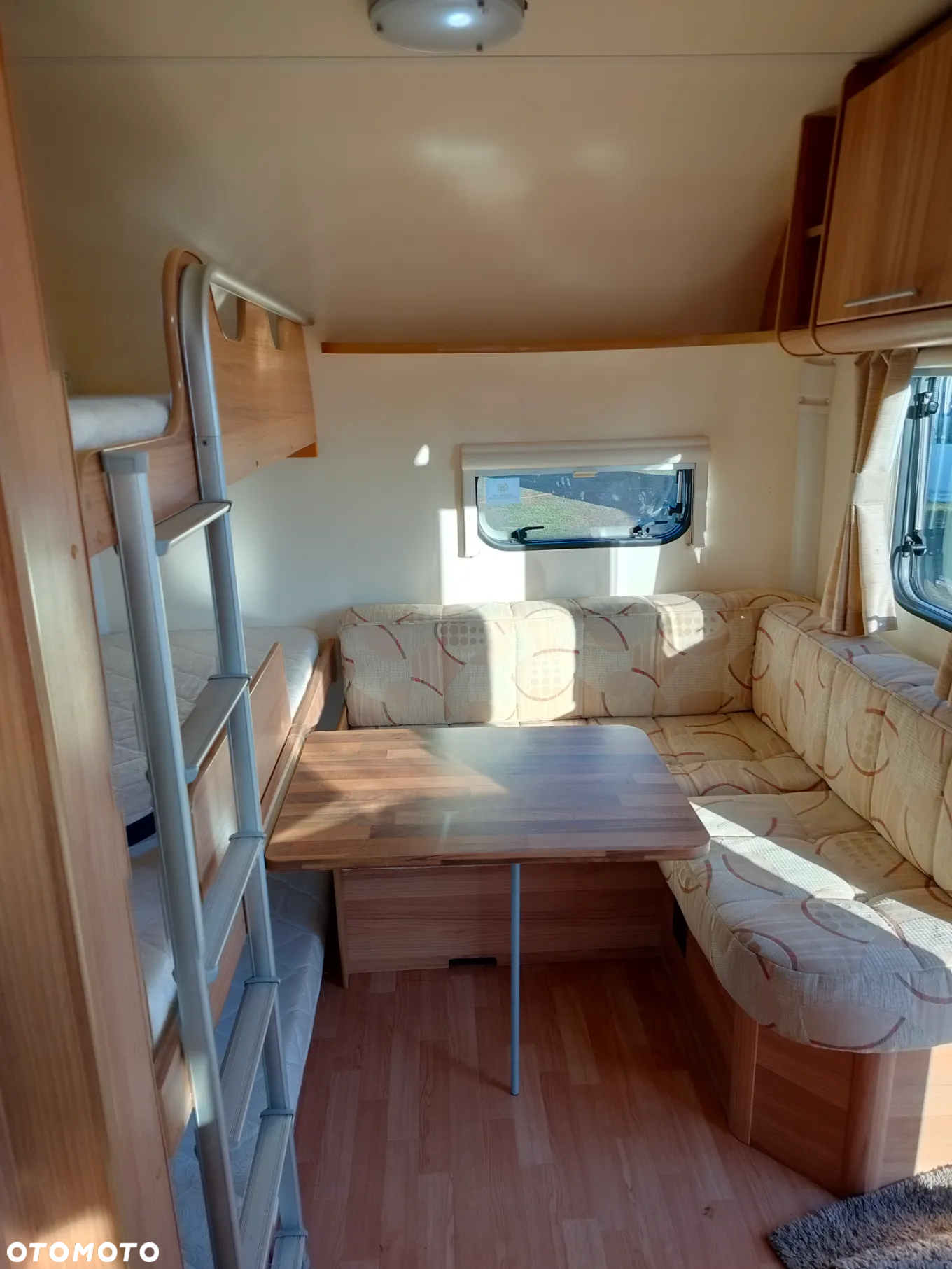 Bailey Orion - 27