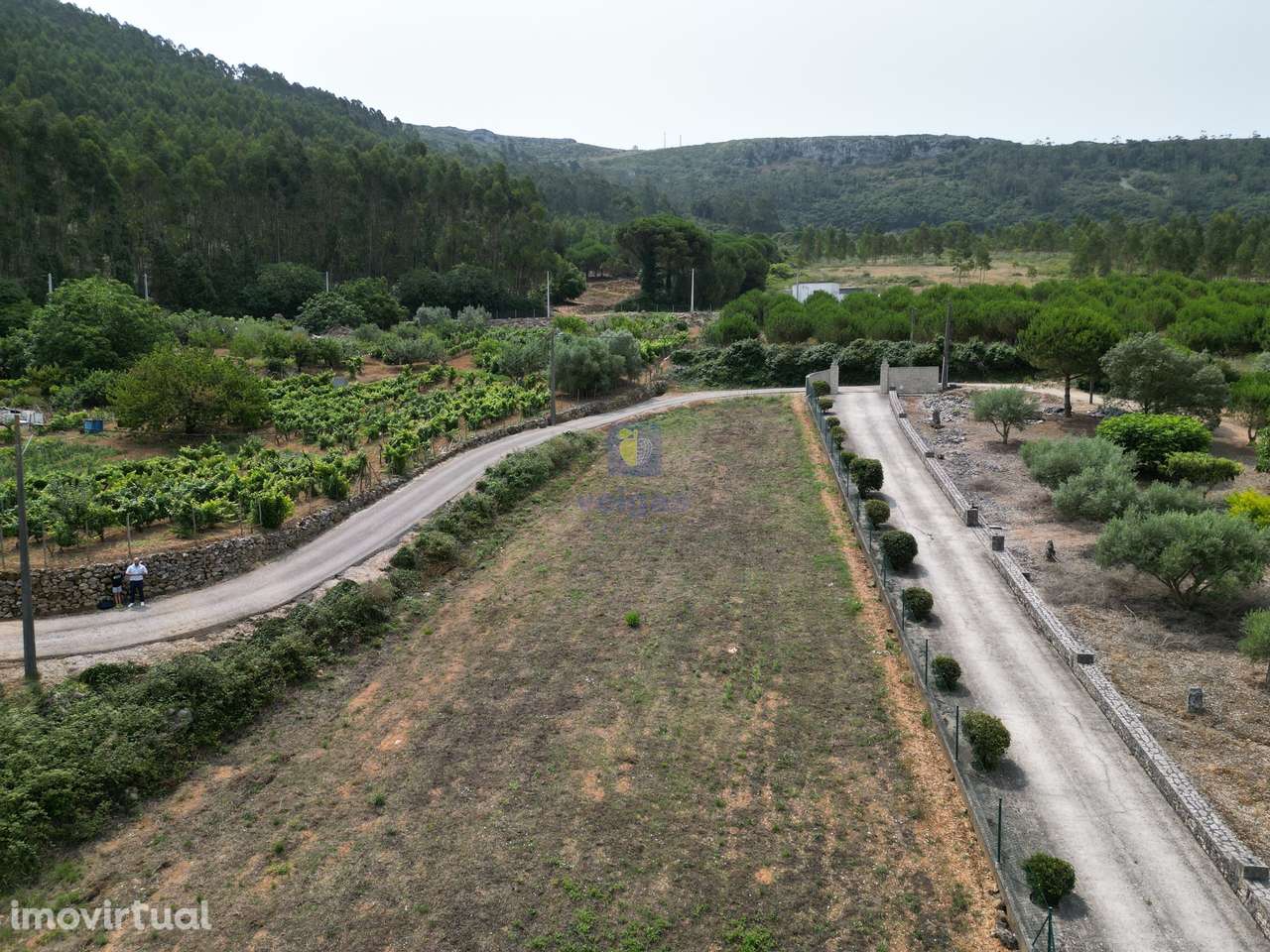 Terreno com Projeto Aprovado para uma Moradia T3/T5 com Vista Panorâm - Grande imagem: 3/15