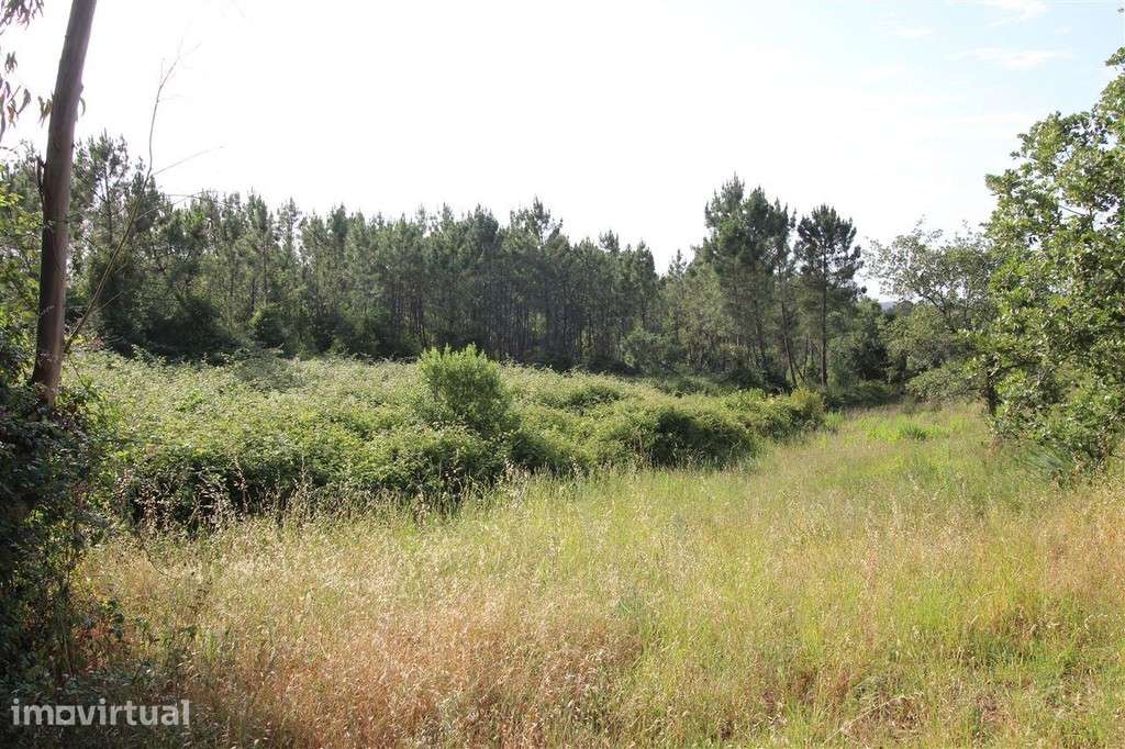 Terreno Para Construção, Soure, Soure - Grande imagem: 4/5