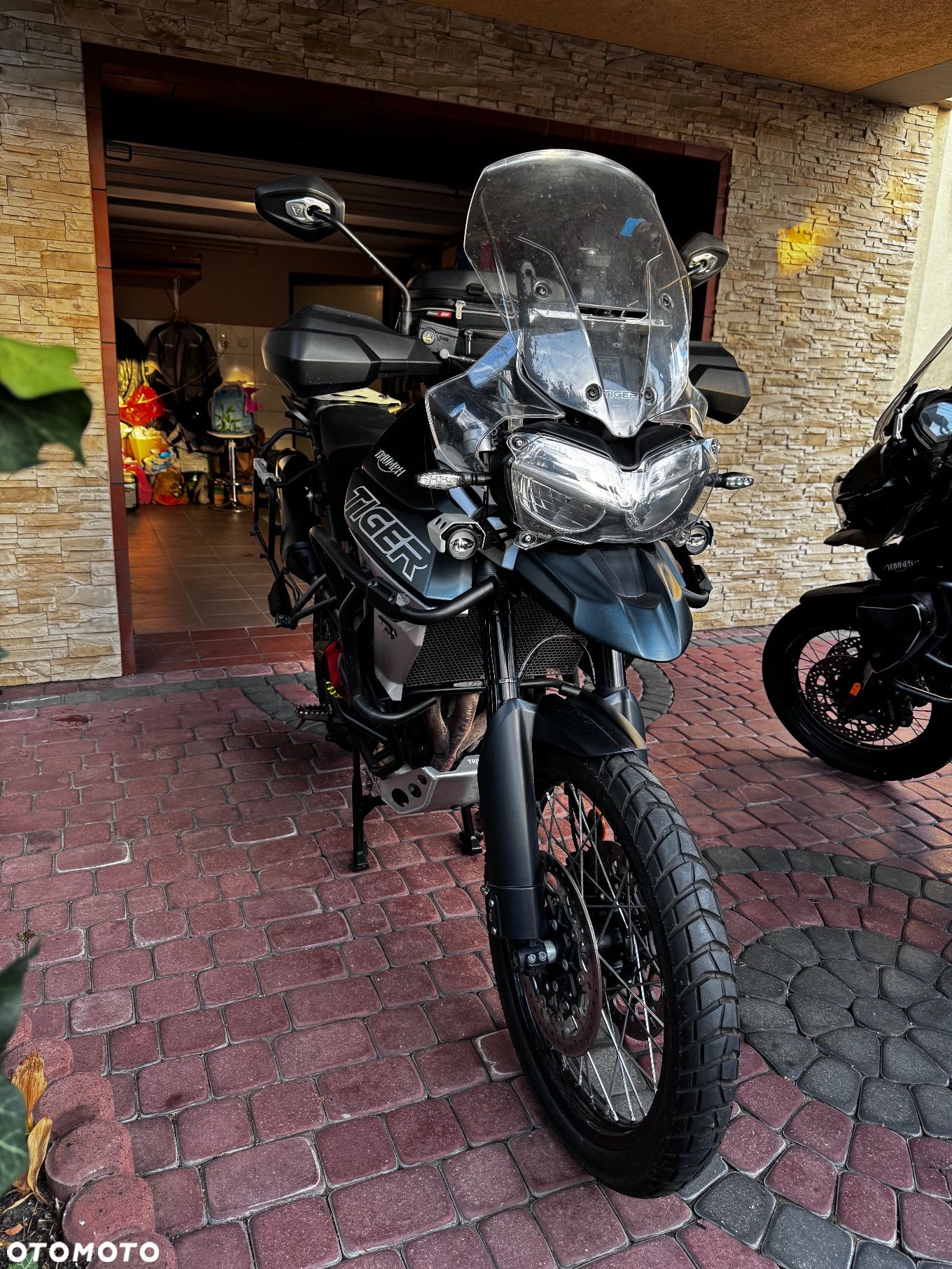 Triumph Tiger - 1