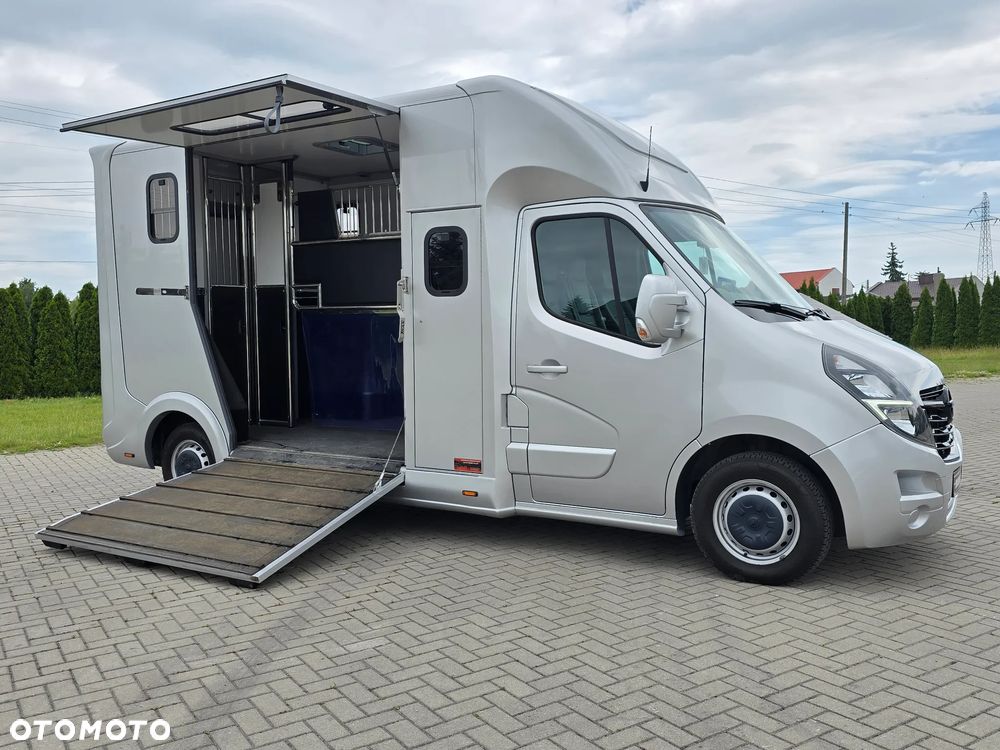 Opel Movano-Koniowóz - 6