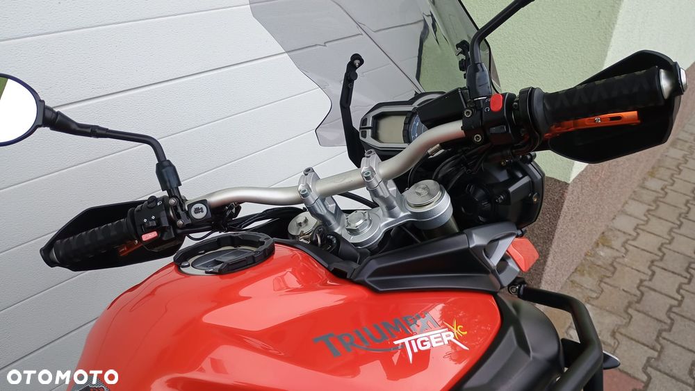 Triumph Tiger - 18