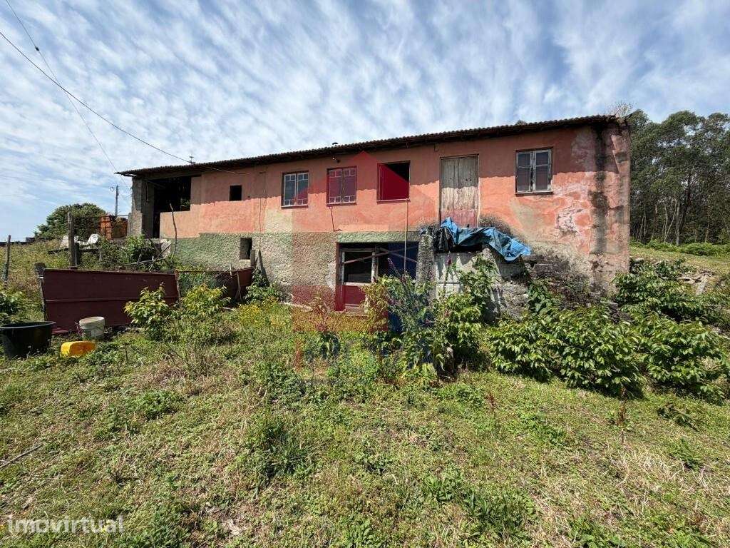 Moradia para restauro, Barbudo - Grande imagem: 3/25