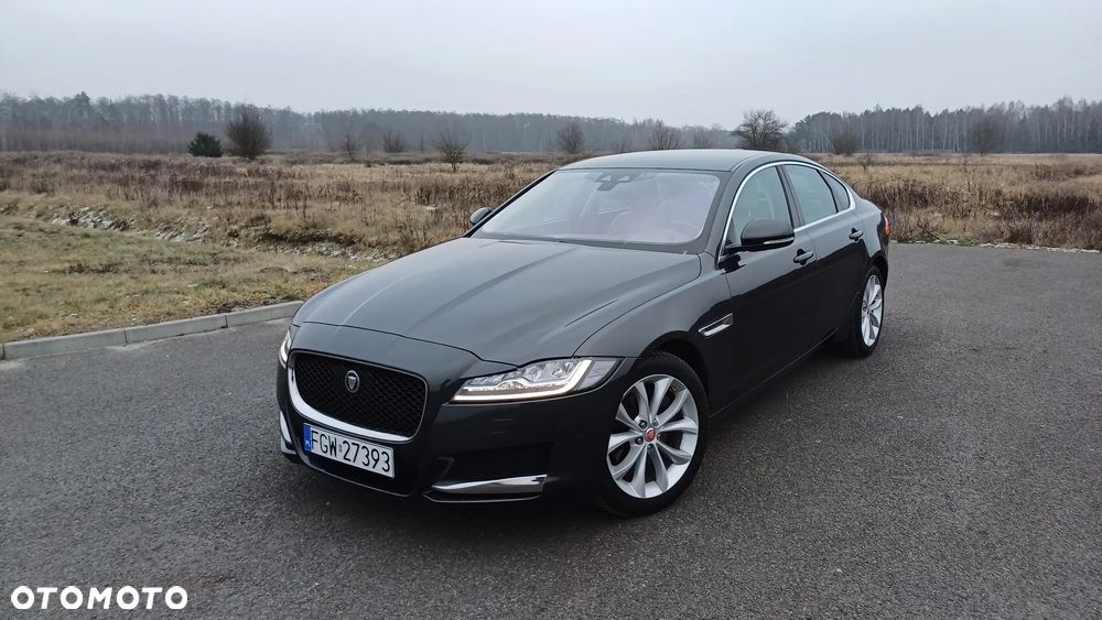 Jaguar XF 20d AWD Prestige - 15