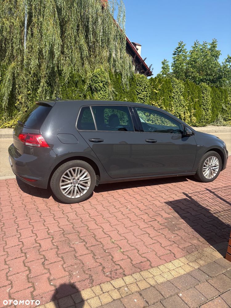 Volkswagen Golf - 12