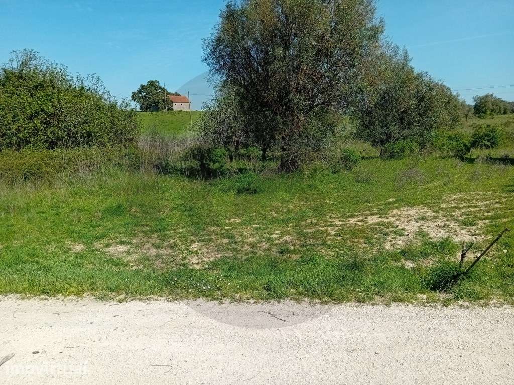 Terreno - Casal bernardino, Casével, Santarém - Grande imagem: 4/5