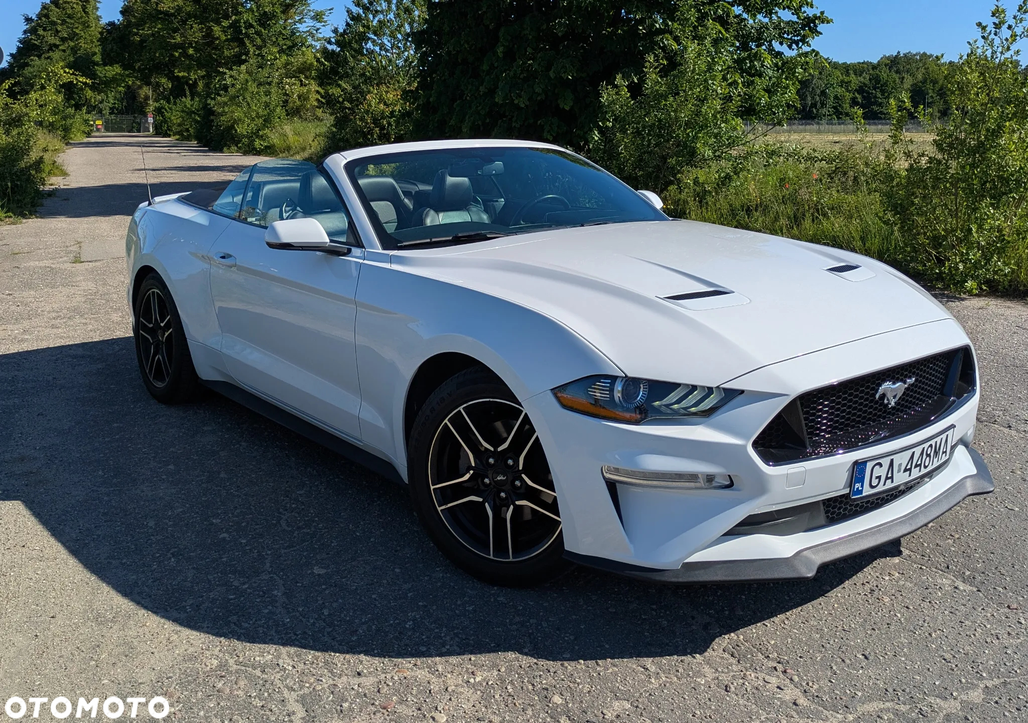 Ford Mustang 2.3 EcoBoost - 8