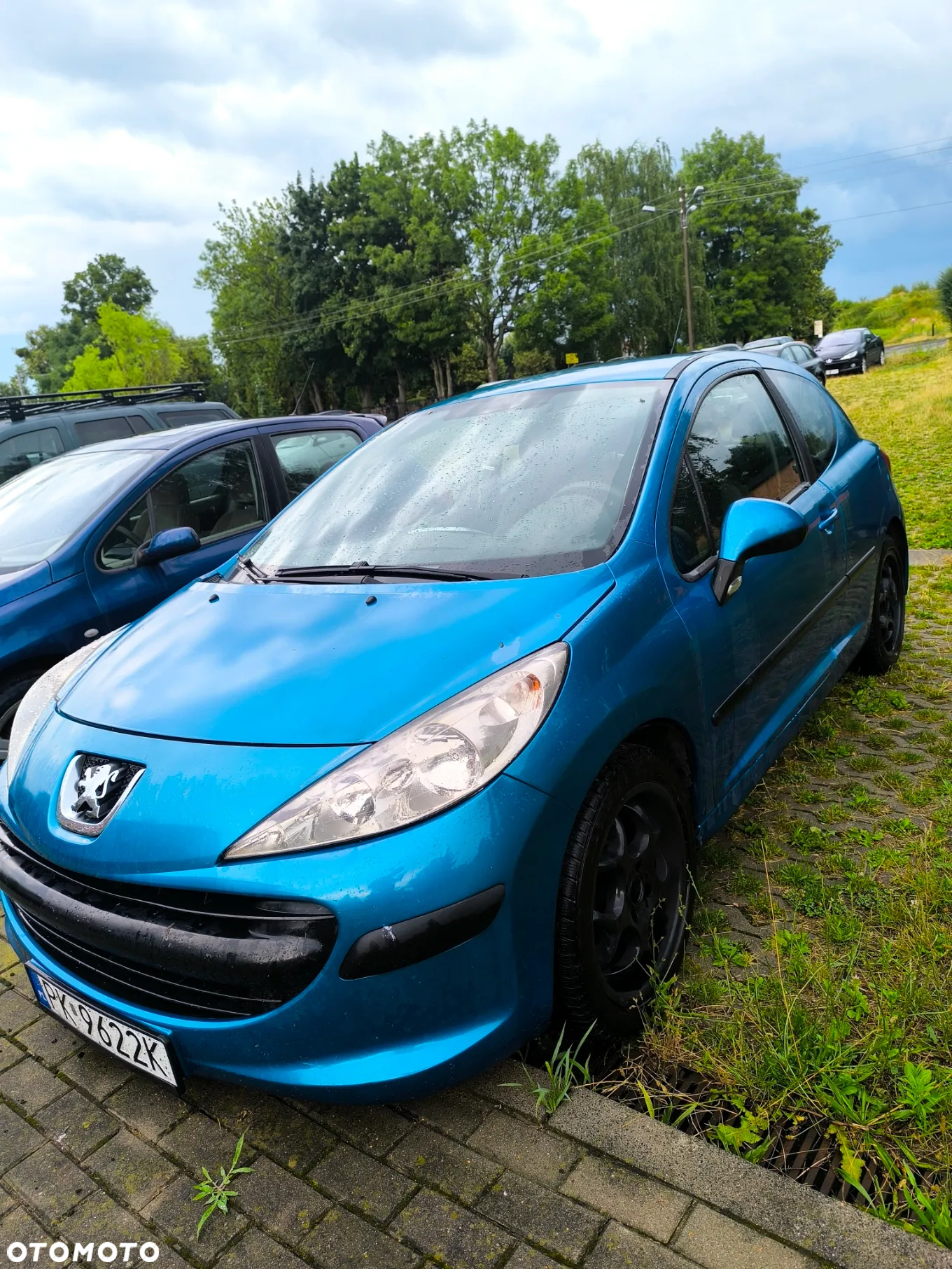 Peugeot 207 - 10