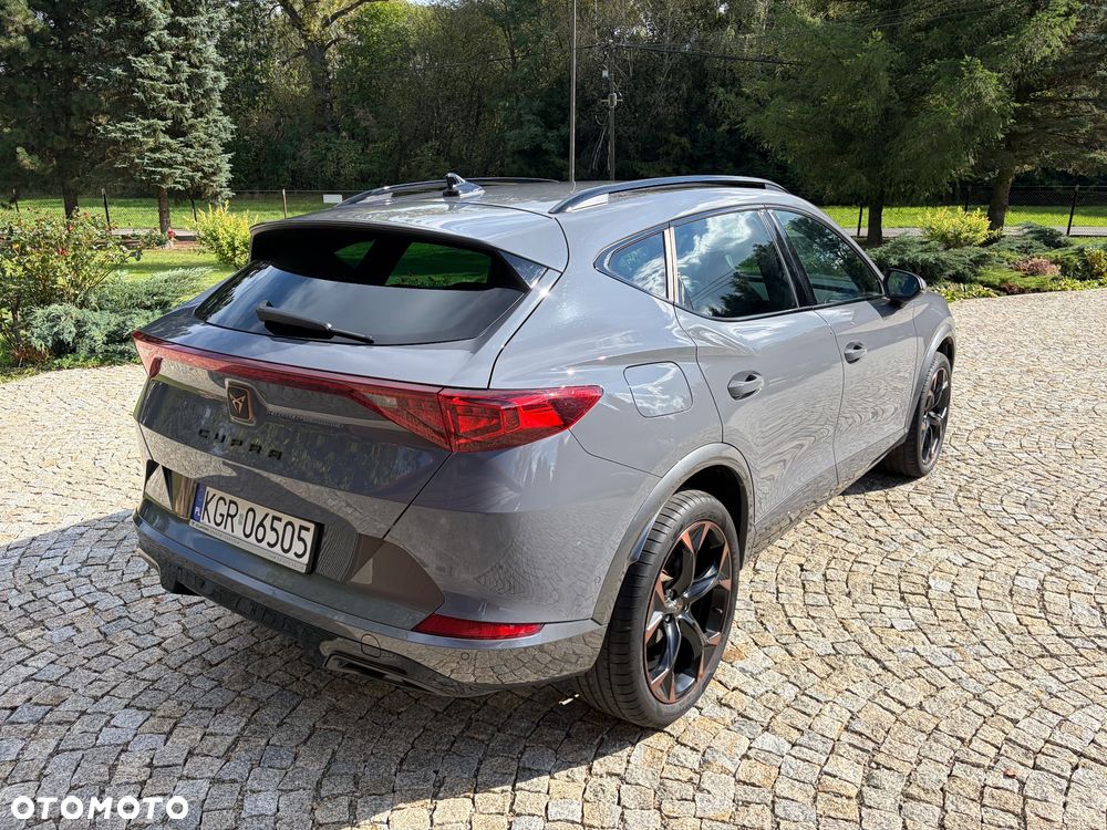Cupra Formentor 2.0 TSI 4Drive DSG - 16