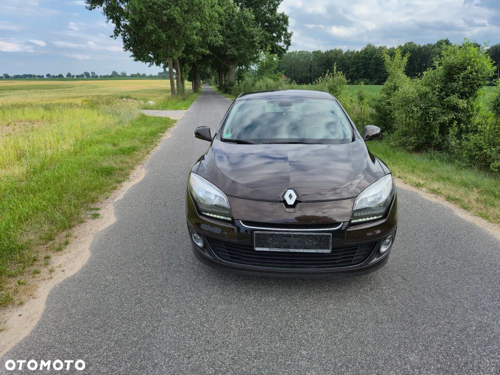 Renault Megane - 31