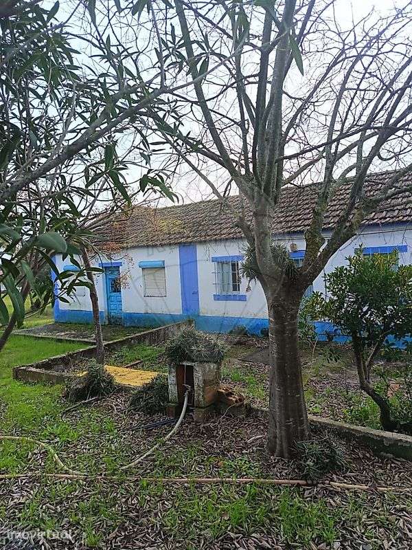 Moradia T4 para venda - Grande imagem: 2/14