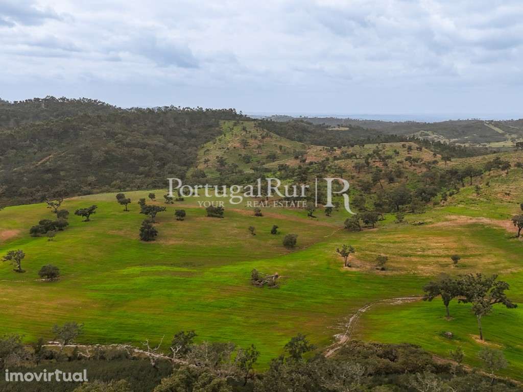 Herdade com 154 hectares em Odemira - Grande imagem: 4/44