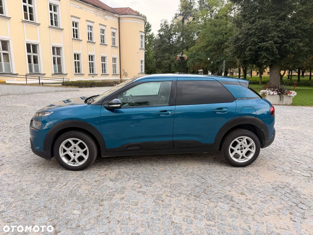 Citroën C4 Cactus 1.2 PureTech GPF Shine S&S - 7