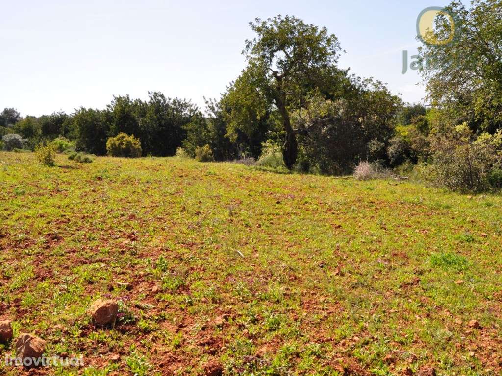 Terreno Rústico Venda Loulé - Grande imagem: 3/3