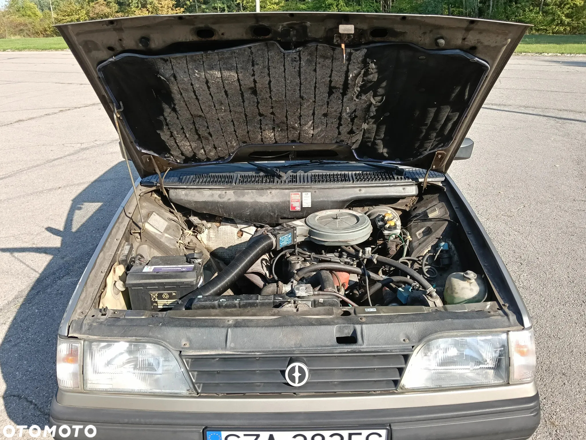 Polonez Caro - 13
