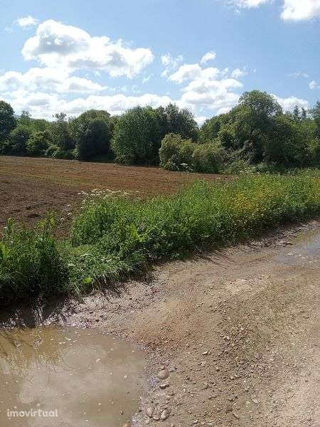 Terreno agrícola - Grande imagem: 5/5
