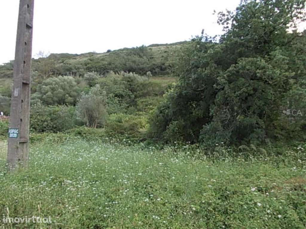 Terreno Rústico - Grande imagem: 4/4