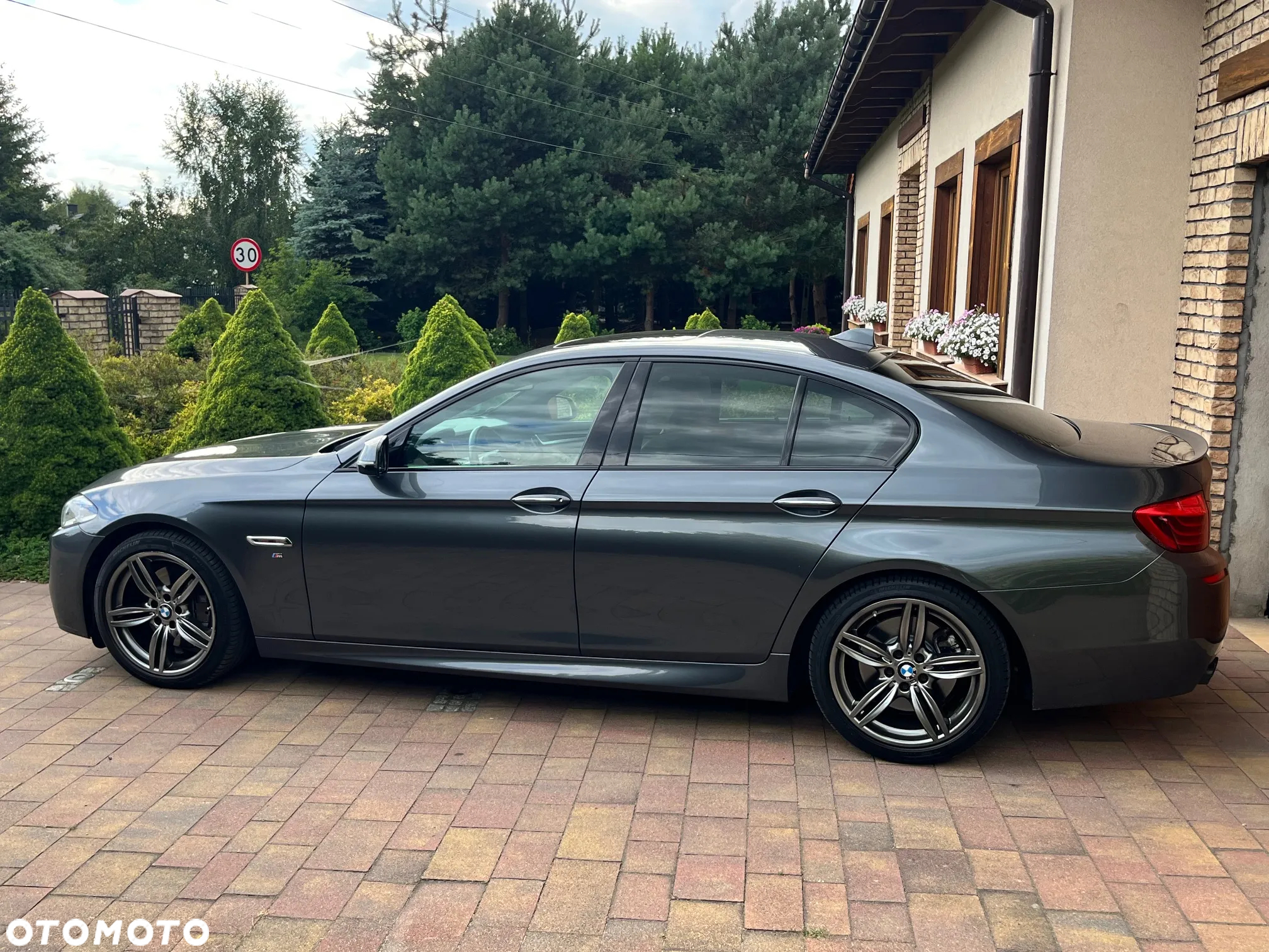 BMW Seria 5 530d xDrive Luxury Line - 8