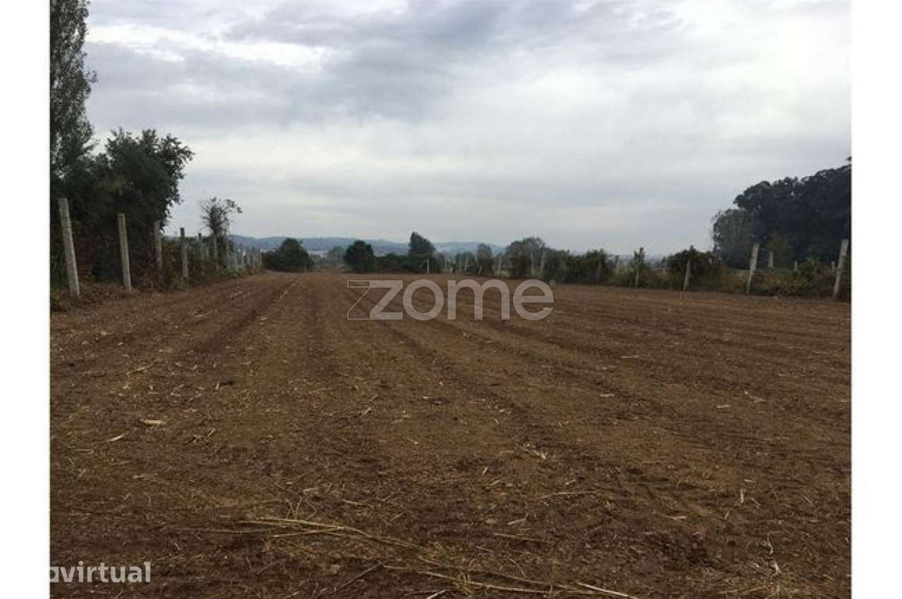 Terreno para Cultivo - Grande imagem: 5/5