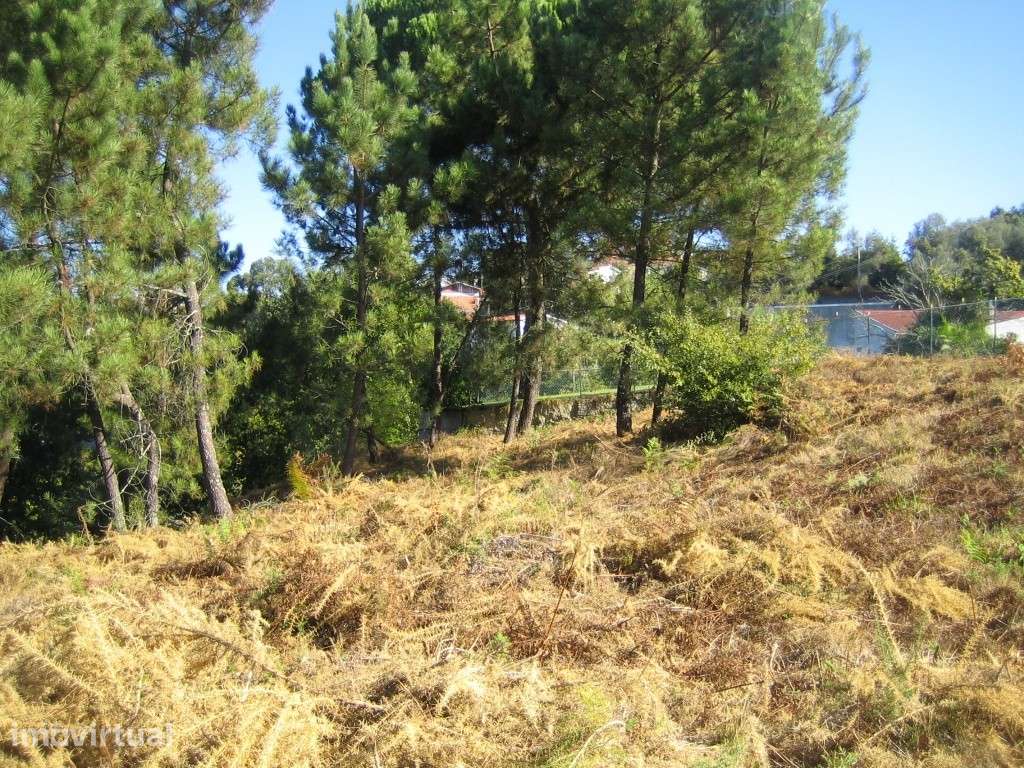 TERRENO PARA CONSTRUÇÃO COM 2.000 m2 | PAÇÔ, ARCOS DE VALDEVEZ - Grande imagem: 2/22