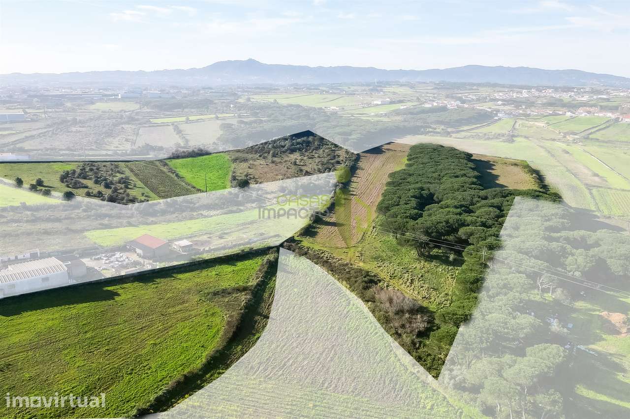 Terreno Rústico com 6 Hectares | São João das Lampas e Terrugem – Sint - Grande imagem: 2/9
