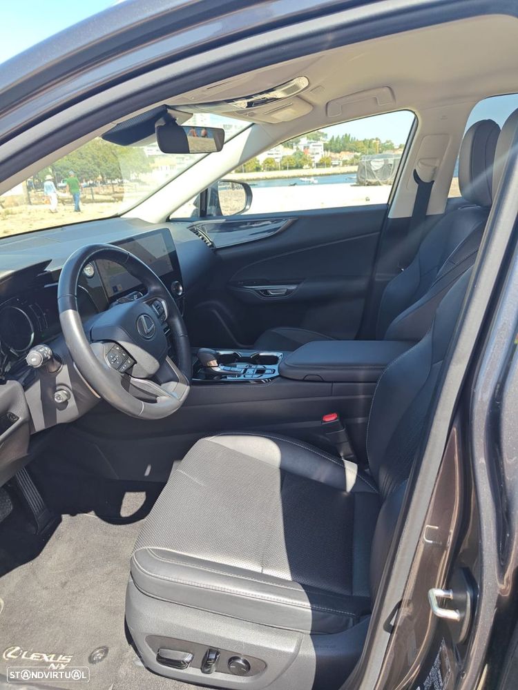 Lexus NX 450h+ Executive - 12