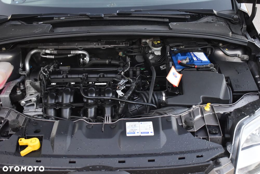 Ford Focus 1.6 TI-VCT Champions Edition - 35