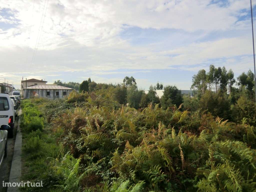 Terreno,Macieira Sarnes,Oliveira Azemeis - Grande imagem: 2/3
