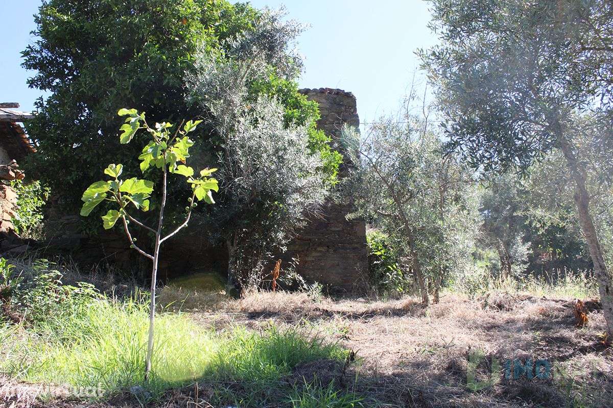 Imóvel Rural - Grande imagem: 4/32