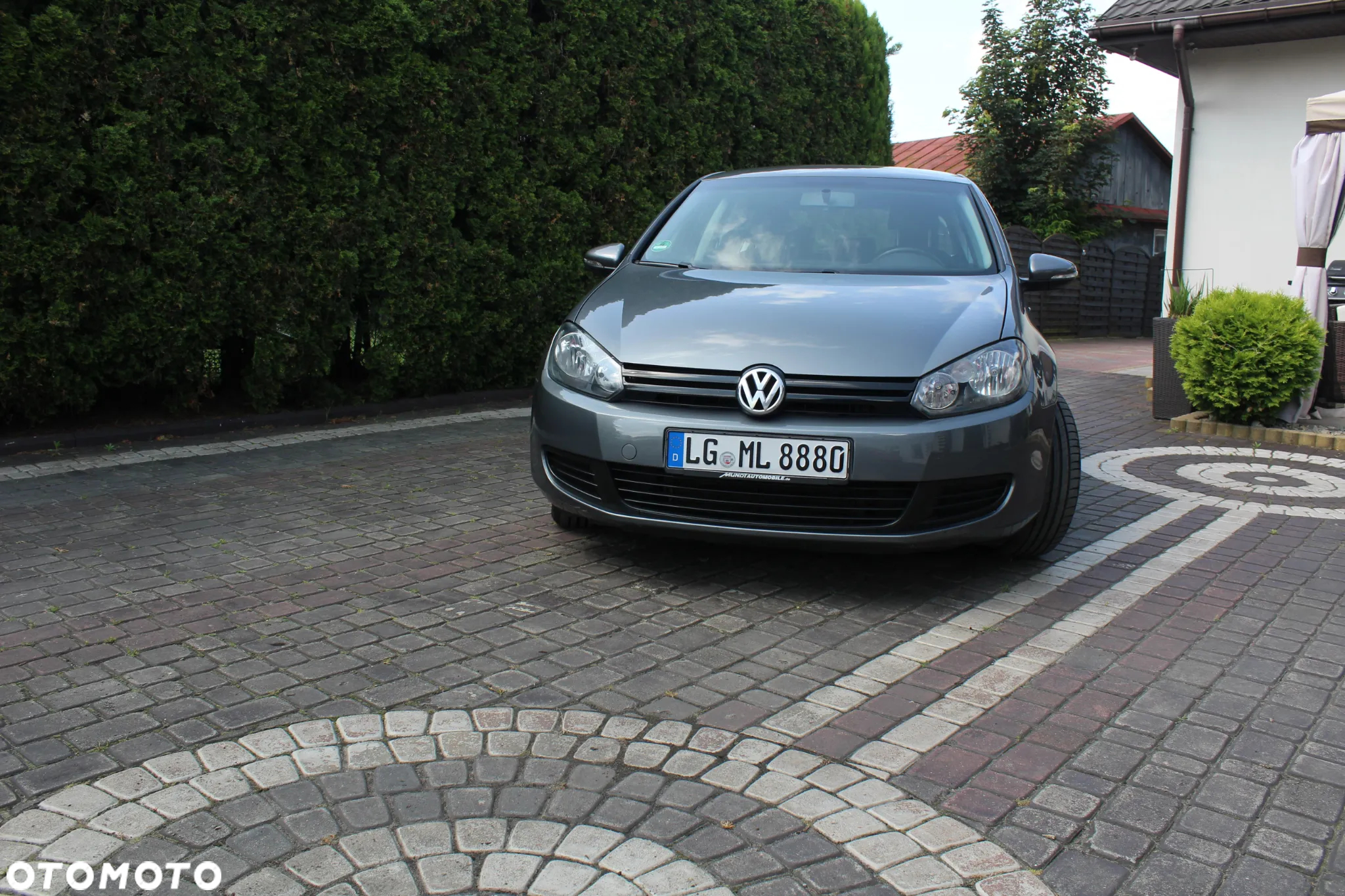 Volkswagen Golf - 8