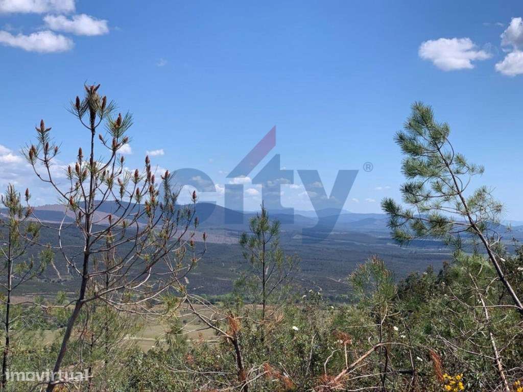 Terreno Florestal em Enxames - Grande imagem: 4/15