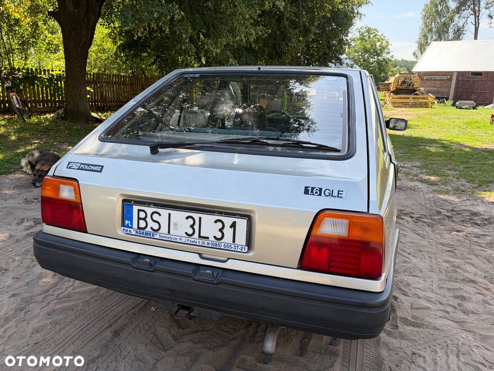 Polonez Caro - 5