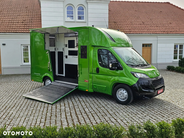 Peugeot Boxer-Koniowóz