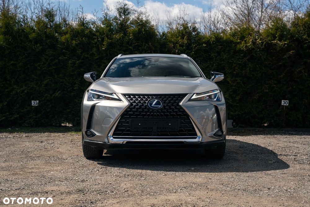 Lexus UX 250h Business Edition - 2