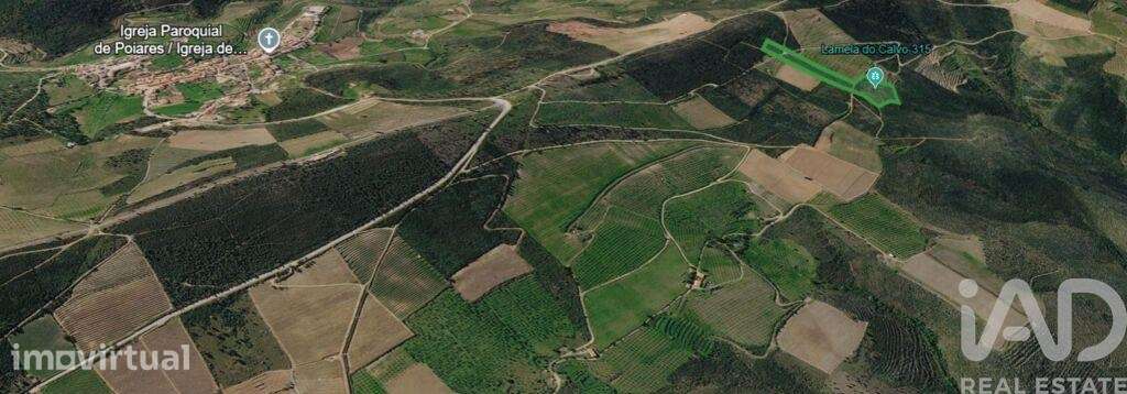 Terreno Agrícola em Poiares - Grande imagem: 3/5