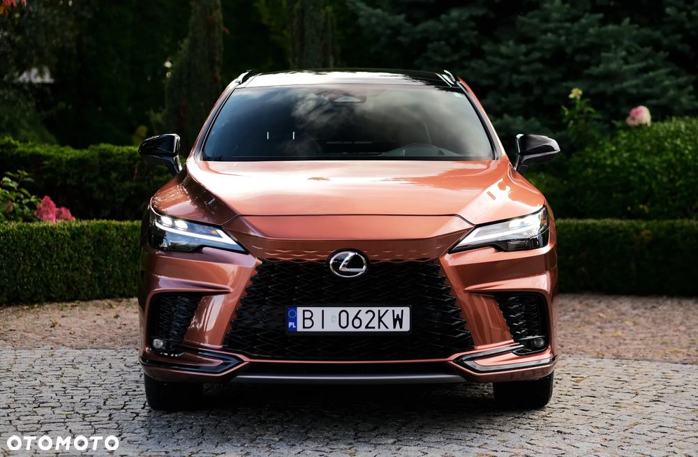 Lexus RX - 6