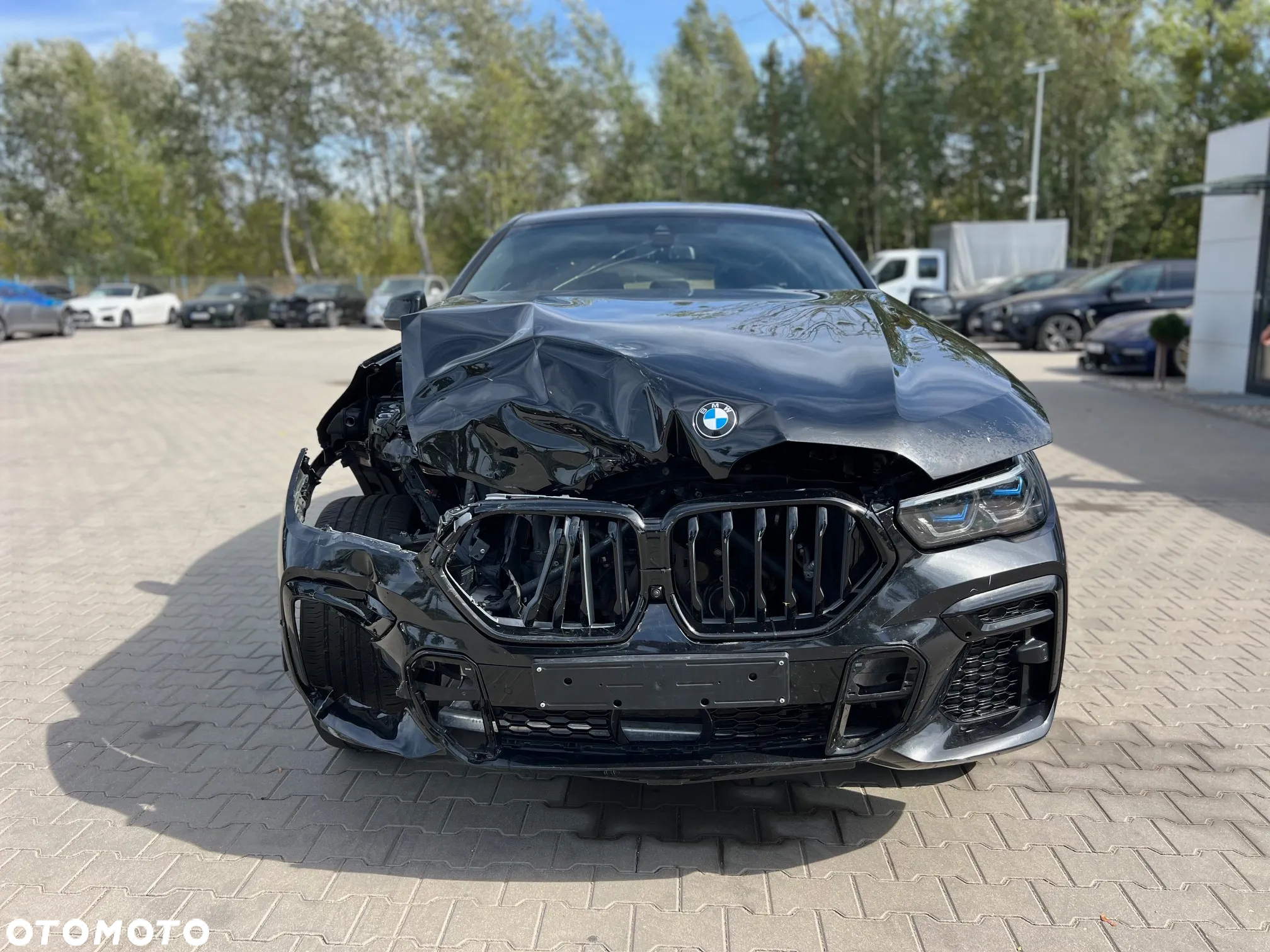 BMW X6 xDrive30d - 2