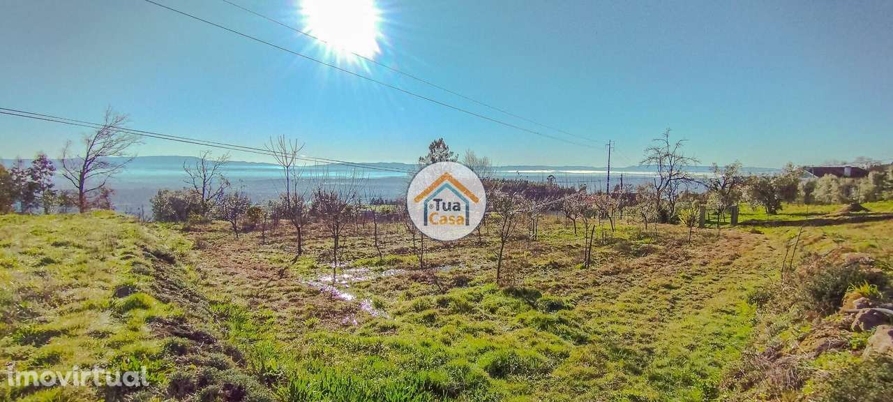 Terreno Rustico em Tondela - Grande imagem: 5/15