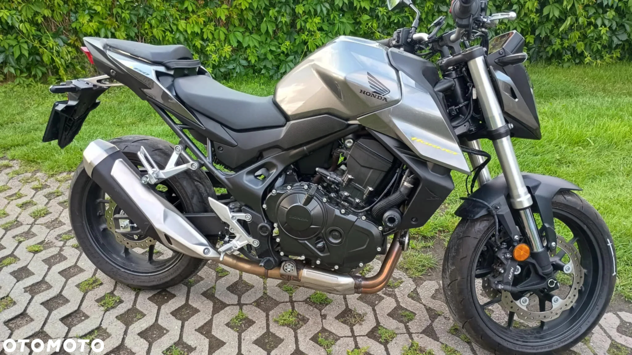 Honda Hornet - 2