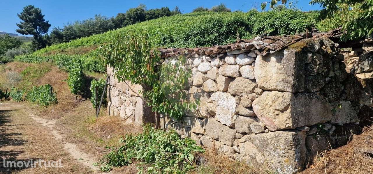 Terreno  para venda - Grande imagem: 3/4