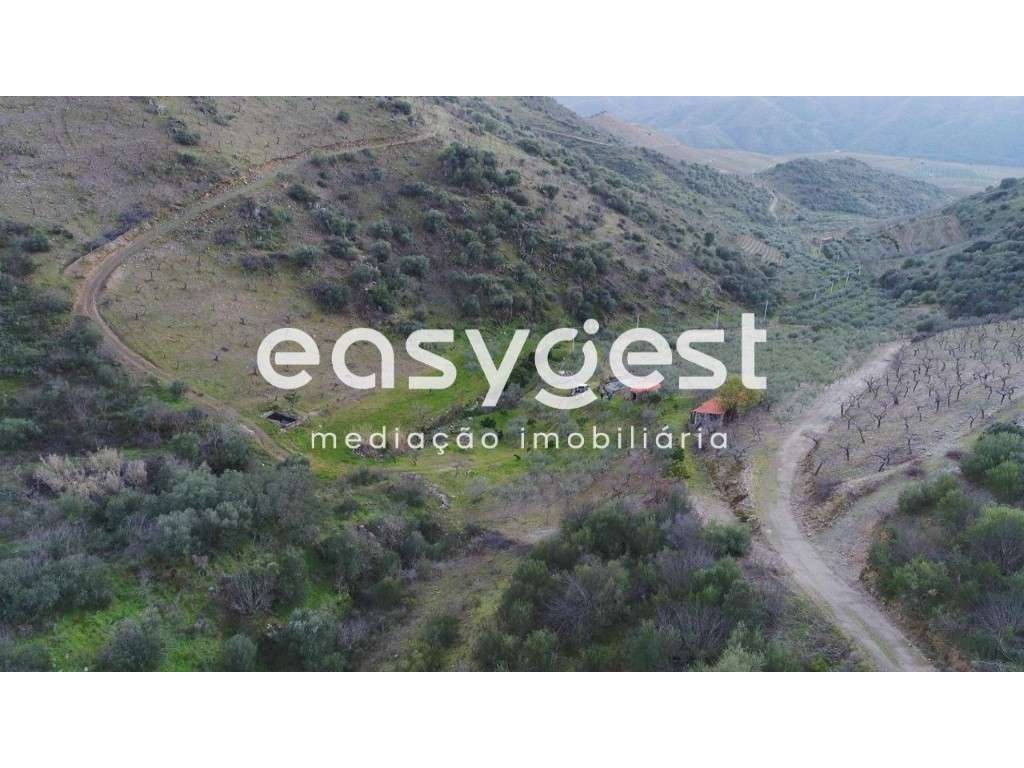 Terreno Agrícola no Alto Douro - Grande imagem: 2/26