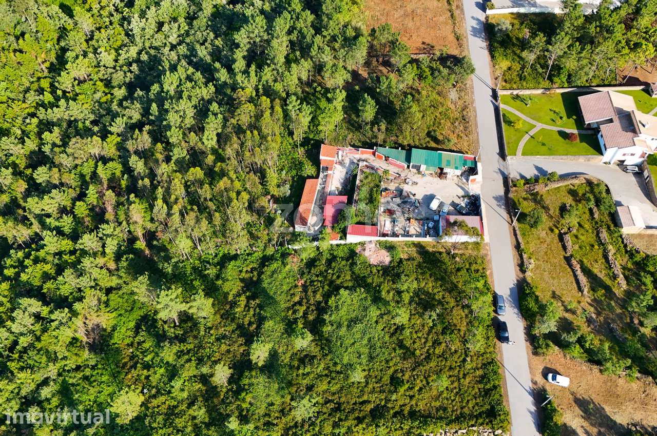 Terreno com 4.800 m² em Vale de Cântaro, Coimbra - Grande imagem: 5/15