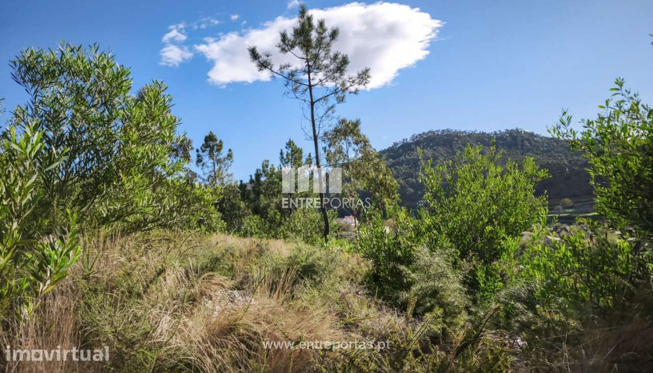 Venda de Terreno de construção em Outeiro, Viana do Castelo. - Grande imagem: 3/22