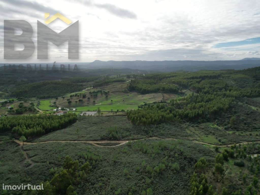 Terreno rústico de 1.58hectares - Grande imagem: 3/5