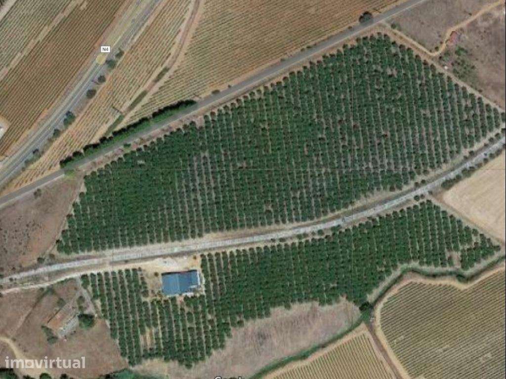HERDADE AGRÍCOLA EM ESTREMOZ | ALENTEJO - Grande imagem: 3/25