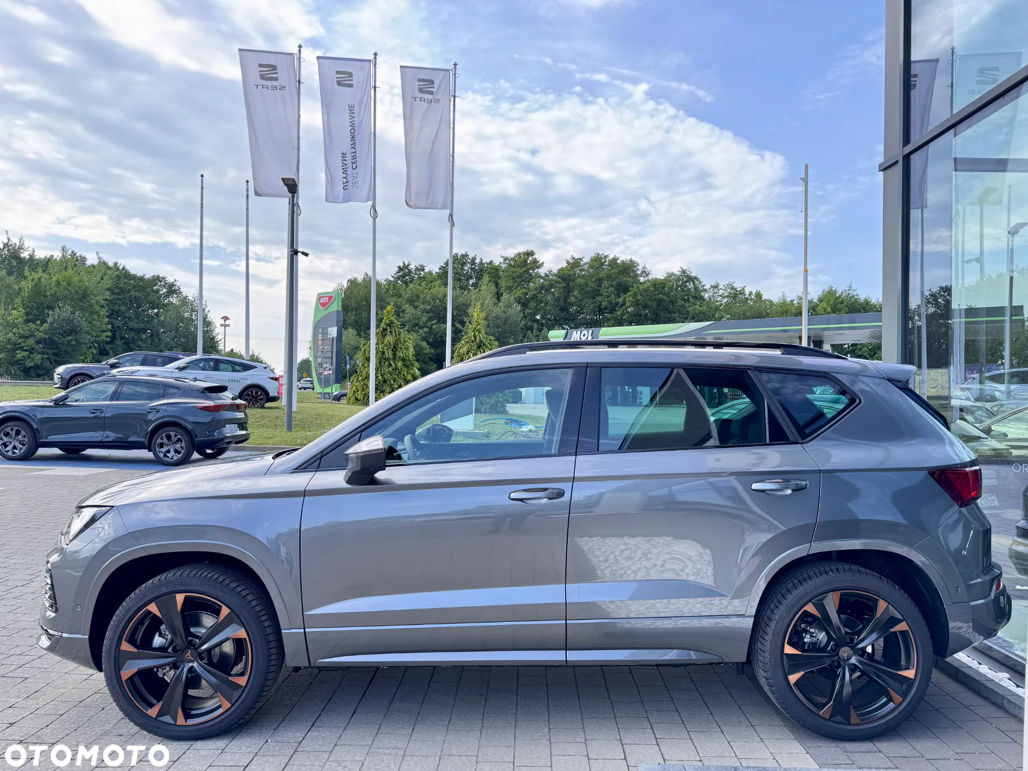 Cupra Ateca 2.0 TSI 4Drive DSG - 5